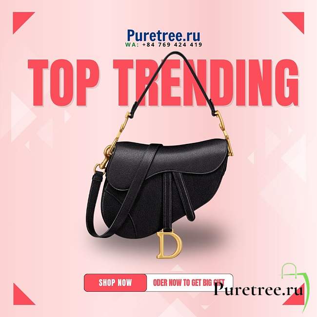 Dior Saddle Bag Black Grain Leather size 25.5x20x6.5cm  - 1