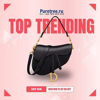 Dior Saddle Bag Black Grain Leather size 25.5x20x6.5cm 