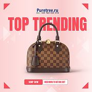 Louis Vuitton Alma BB Damier Ebene | N41221 - 1