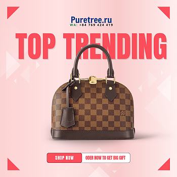 Louis Vuitton Alma BB Damier Ebene | N41221