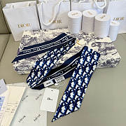 DIOR | Mitza Scarf Twilly Silk In Navy Blue - 2