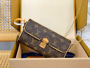 LOUIS VUITTON | Camille Pochette Bag Canvas Material