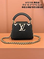 LOUIS VUITTON | Capucines Nano Bag In Black M10166 - 1