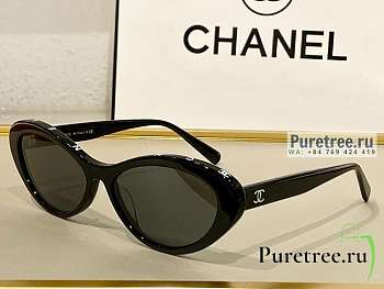 GUCCI | Sunglasses CH2262