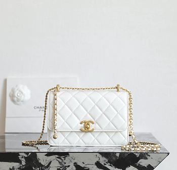 CHANEL | WOC Lambskin White Size 22x14.5x8 cm