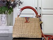 LV x TM Capucines BB Rattan/Cowhide Red - 1