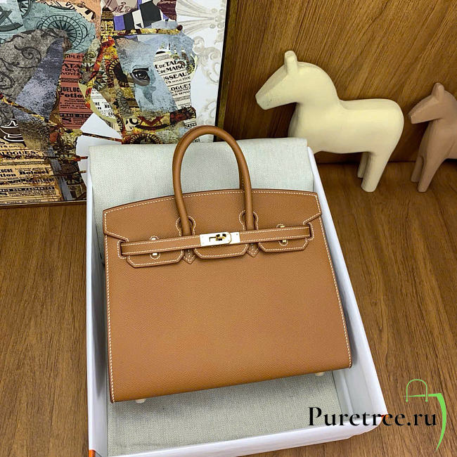 Hermes Birkin 25 Gold Hardware in Brown Color - 1