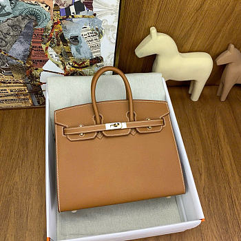 Hermes Birkin 25 Gold Hardware in Brown Color