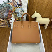 Hermes Birkin 25 Gold Hardware in Brown Color - 3