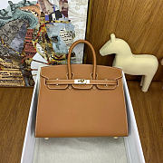 Hermes Birkin 25 Gold Hardware in Brown Color - 2