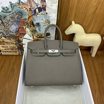 Hermes Birkin 25 Silver Hardware in Gray Color