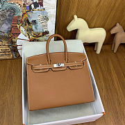 Hermes Birkin 25 Silver Hardware in Brown Color - 1