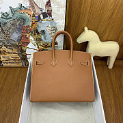 Hermes Birkin 25 Silver Hardware in Brown Color - 6