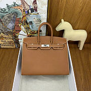 Hermes Birkin 25 Silver Hardware in Brown Color - 5