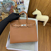Hermes Birkin 25 Silver Hardware in Brown Color - 4