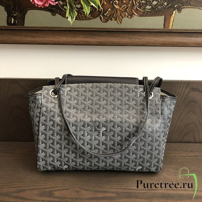 GOYARD | Goyardine Rouette PM Shoulder Bag Leather Gray - 1