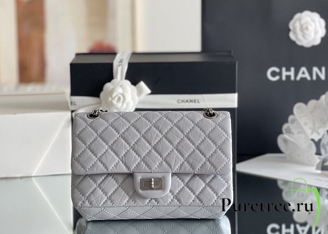 Chanel 2.25 Miss CoCo's Bag In Silver Hardware Gray - 1