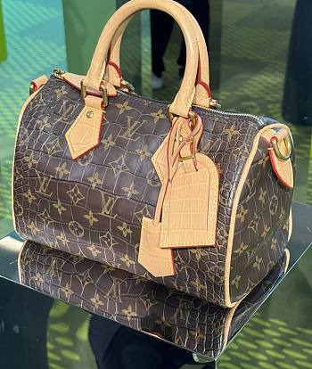 LOUIS VUITTON | Speedy Bandoulière 25 In Monogram