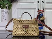 LOUIS VUITTON | Vanity Chain Pouch Natural Tan - 1