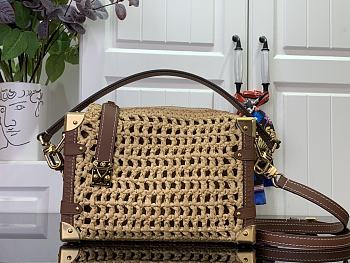 LOUIS VUITTON | Side Trunk MM Bag Natural Tan 