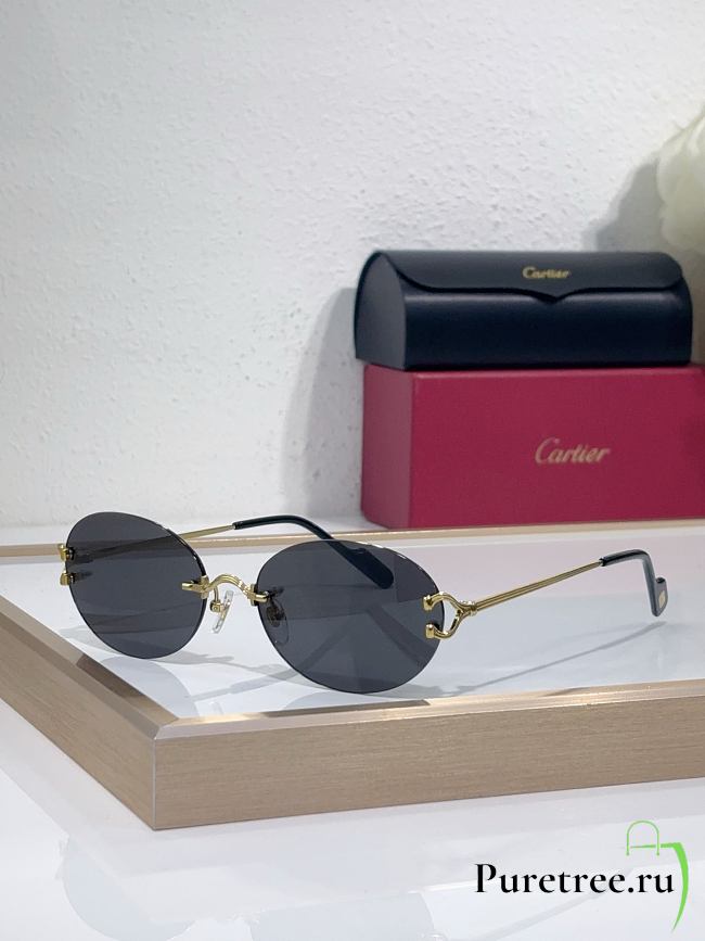 Cartier Sunglasses CT0551S - 1