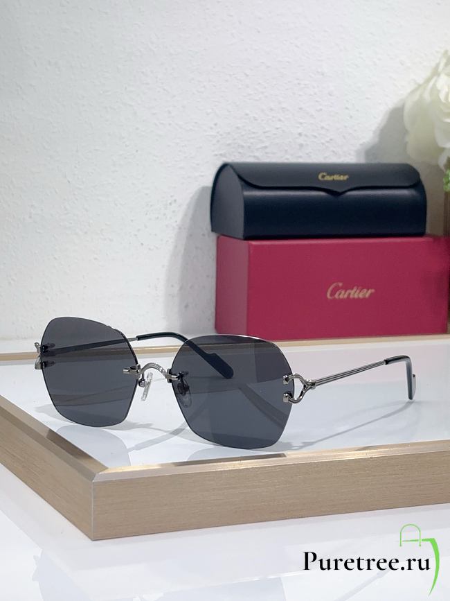 Cartier Sunglasses CT0564O - 1