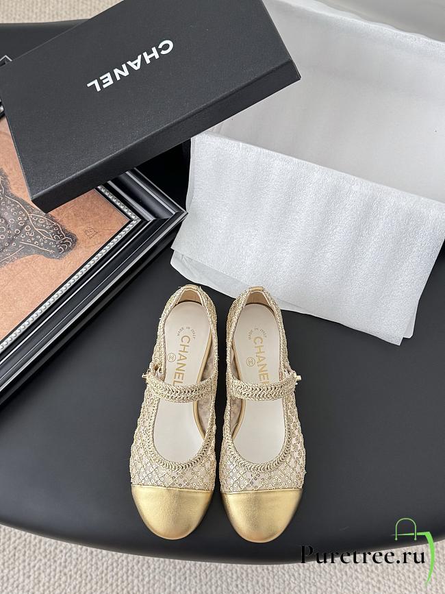 CHANEL | Chanel 25B Mary Jane Shoes In Gold - 1