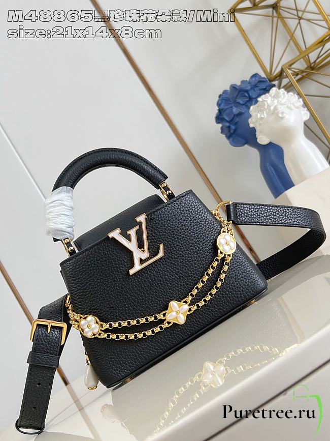 LOUIS VUITTON | Capucines Mini Daydream Taurillon In Black - 1
