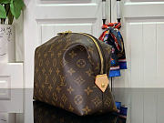 LOUIS VUITTON | GM Cosmetic Bag Material Monogram Canvas M46458 - 3