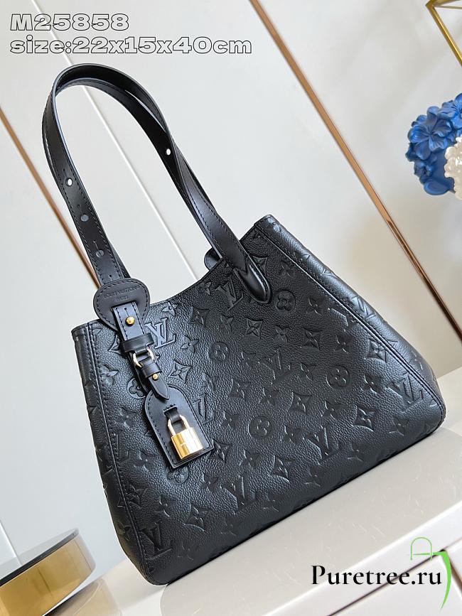 LOUIS VUITTON | All In One PM Cowhide leather in black - 1