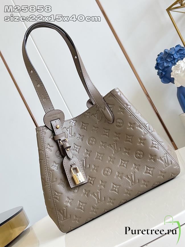 LOUIS VUITTON | All In One PM Cowhide leather Smoke  - 1