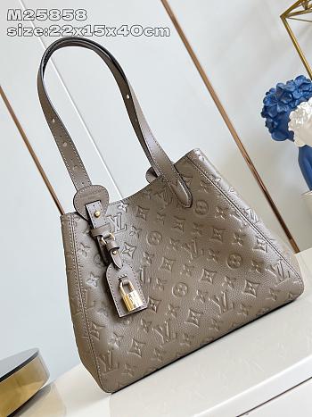 LOUIS VUITTON | All In One PM Cowhide leather Smoke 