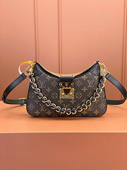 LOUIS VUITTON | LV Twinny Bag Monogram Canvas and Monogram Reverse Canvas - 1