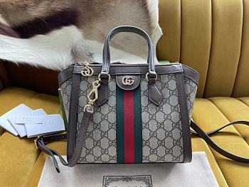 GUCCI | Ophidia tote bag evokes vintage elements