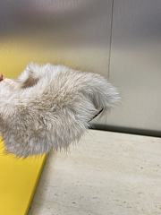 FENDI | Open-Toe Lounge Slippers White - 6