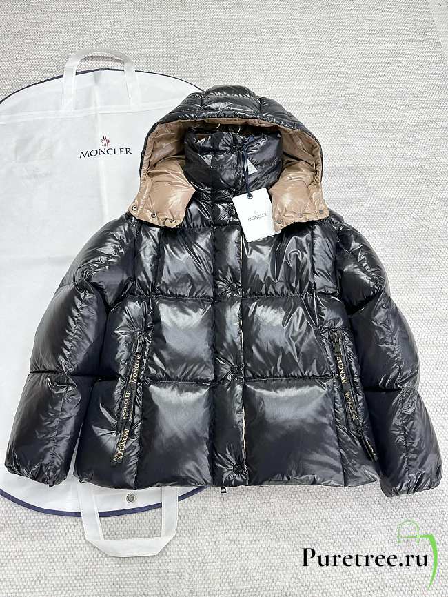 Moncler parana down jacket in black - 1