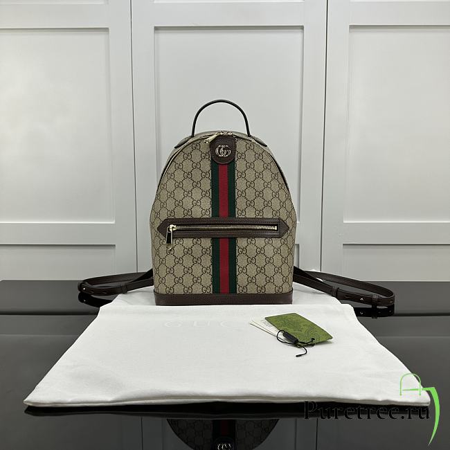 GUCCI | Ophidia backpack small size - 1