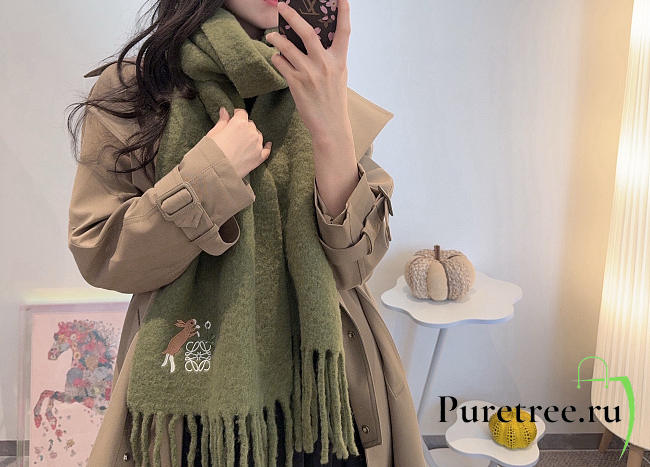 Loewe mohair scarf in green - 1