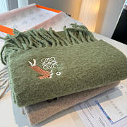 Loewe mohair scarf in green - 6