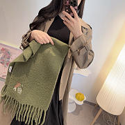 Loewe mohair scarf in green - 3