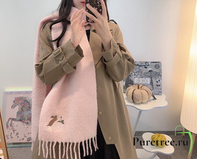 Loewe mohair scarf in pink - 1