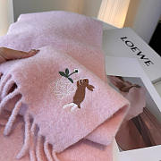 Loewe mohair scarf in pink - 3