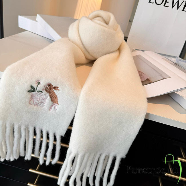 Loewe mohair scarf in white - 1