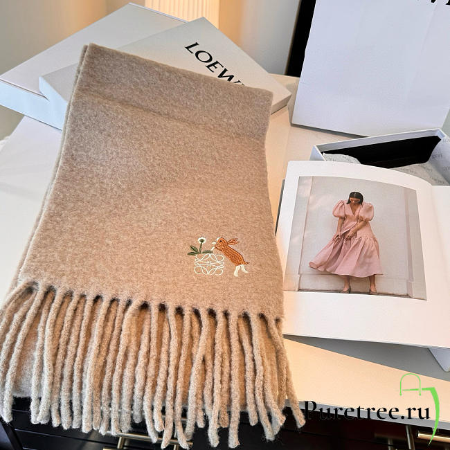 Loewe mohair scarf in dark beige - 1