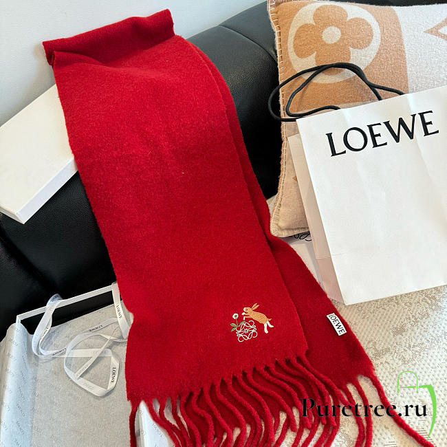 Loewe mohair scarf in red - 1