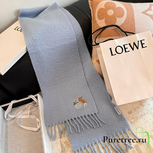 Loewe mohair scarf in blue - 1