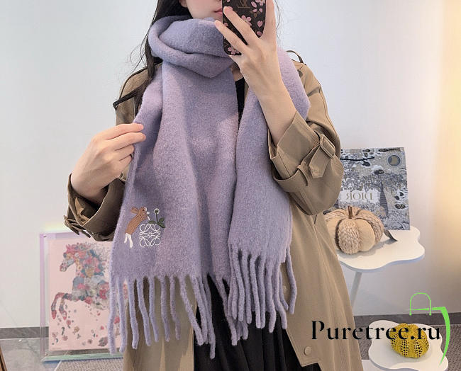 Loewe mohair scarf in purble - 1