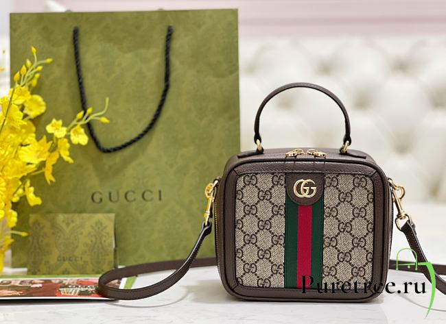 GUCCI | Ophidia Shoulder Bag Brown Leather Plastic - 1