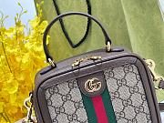GUCCI | Ophidia Shoulder Bag Brown Leather Plastic - 2