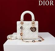 DIOR | Lady Leather with Velvet In White Size 20*16*8cm - 1